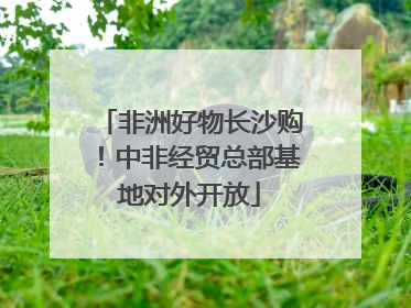 非洲好物长沙购！中非经贸总部基地对外开放