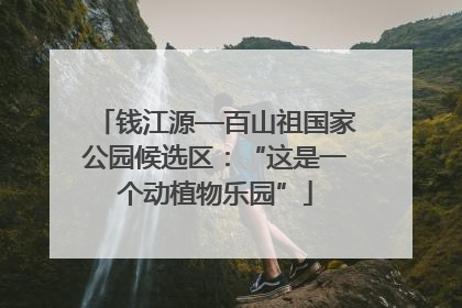 钱江源—百山祖国家公园候选区：“这是一个动植物乐园”