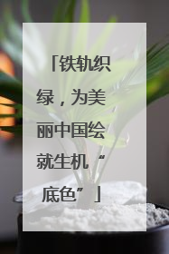 铁轨织绿，为美丽中国绘就生机“底色”