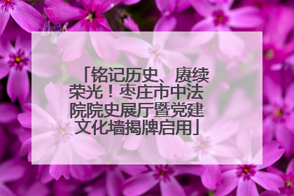 铭记历史、赓续荣光！枣庄市中法院院史展厅暨党建文化墙揭牌启用