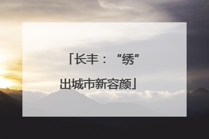 长丰：“绣”出城市新容颜