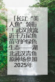 长江“美人鱼”领衔！武汉放流近千万尾鱼苗守护绿色生态——湖北武汉青鱼原种场参加2025年“全国放鱼日”增殖放流活动