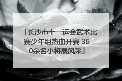 长沙市十一运会武术比赛少年组热血开赛 360余名小将展风采