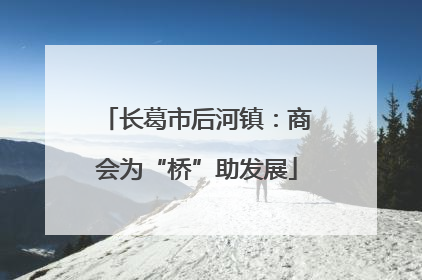 长葛市后河镇：商会为“桥”助发展