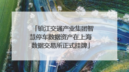 镇江交通产业集团智慧停车数据资产在上海数据交易所正式挂牌