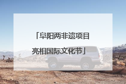 阜阳两非遗项目亮相国际文化节