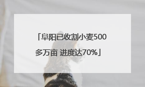 阜阳已收割小麦500多万亩 进度达70%