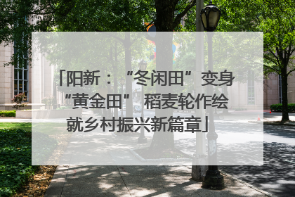 阳新：“冬闲田”变身“黄金田” 稻麦轮作绘就乡村振兴新篇章