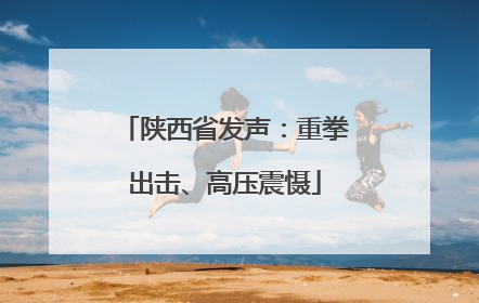 陕西省发声：重拳出击、高压震慑