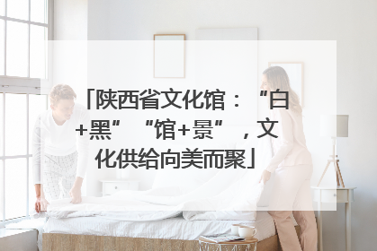 陕西省文化馆：“白+黑”“馆+景”，文化供给向美而聚