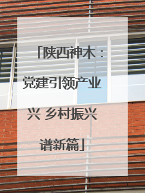 陕西神木：党建引领产业兴 乡村振兴谱新篇