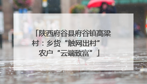 陕西府谷县府谷镇高梁村：乡货“触网出村” 农户“云端致富”