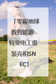 零碳地球数智能源 特变电工重装亮相SNEC