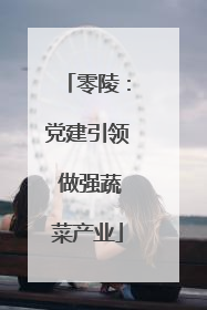 零陵：党建引领 做强蔬菜产业