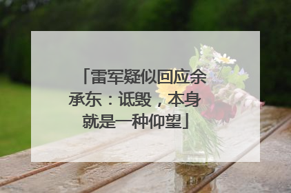 雷军疑似回应余承东：诋毁，本身就是一种仰望
