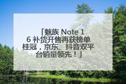 魅族 Note 16 补货开售再获榜单桂冠，京东、抖音双平台销量领先！