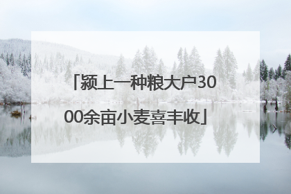 颍上一种粮大户3000余亩小麦喜丰收