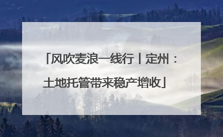 风吹麦浪一线行丨定州：土地托管带来稳产增收