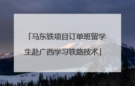 马东铁项目订单班留学生赴广西学习铁路技术