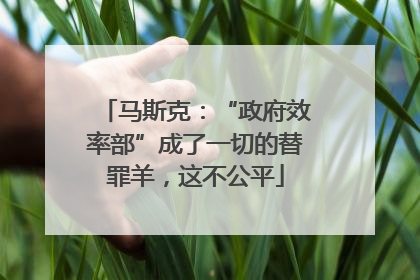 马斯克：“政府效率部”成了一切的替罪羊，这不公平