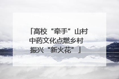高校“牵手”山村 中药文化点燃乡村振兴“新火花”