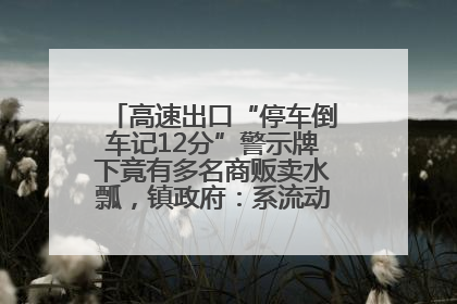 高速出口“停车倒车记12分”警示牌下竟有多名商贩卖水瓢，镇政府：系流动摊位，已多次劝离
