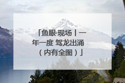 鱼眼·现场丨一年一度 驾龙出涌（内有全图）