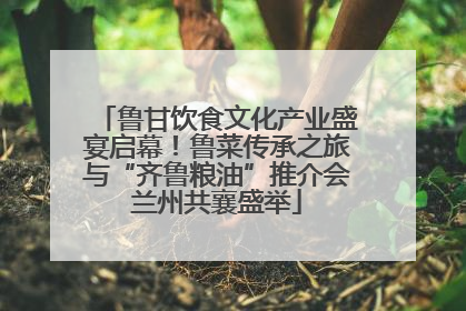 鲁甘饮食文化产业盛宴启幕！鲁菜传承之旅与“齐鲁粮油”推介会兰州共襄盛举