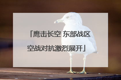 鹰击长空 东部战区空战对抗激烈展开