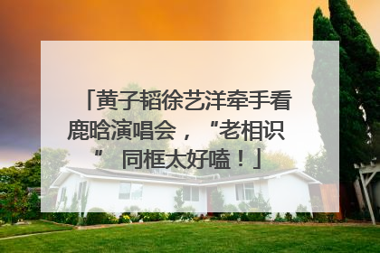 黄子韬徐艺洋牵手看鹿晗演唱会，“老相识” 同框太好嗑！