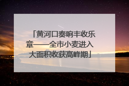 黄河口奏响丰收乐章——全市小麦进入大面积收获高峰期