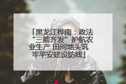 黑龙江桦南：政法“三箭齐发”护航农业生产 田间地头筑牢平安建设防线