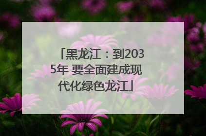 黑龙江：到2035年 要全面建成现代化绿色龙江