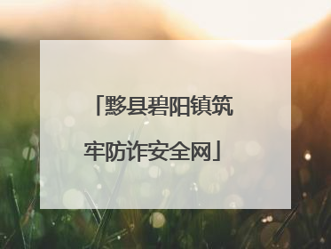 黟县碧阳镇筑牢防诈安全网