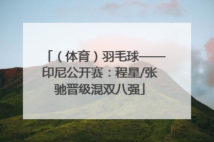 （体育）羽毛球——印尼公开赛：程星/张驰晋级混双八强