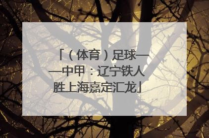 （体育）足球——中甲：辽宁铁人胜上海嘉定汇龙