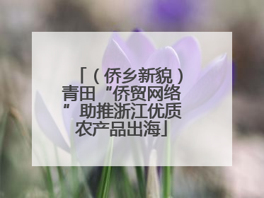 （侨乡新貌）青田“侨贸网络”助推浙江优质农产品出海