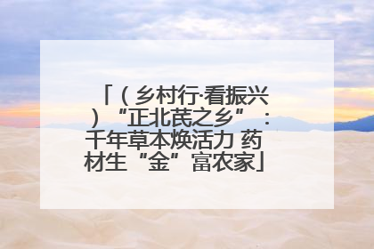 （乡村行·看振兴）“正北芪之乡”：千年草本焕活力 药材生“金”富农家