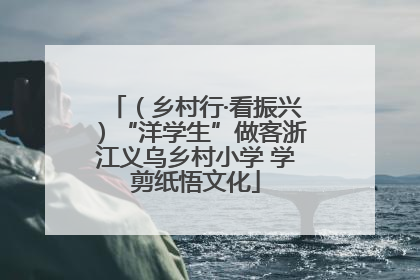 （乡村行·看振兴）“洋学生”做客浙江义乌乡村小学 学剪纸悟文化