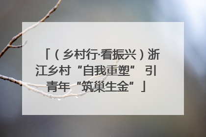 （乡村行·看振兴）浙江乡村“自我重塑” 引青年“筑巢生金”