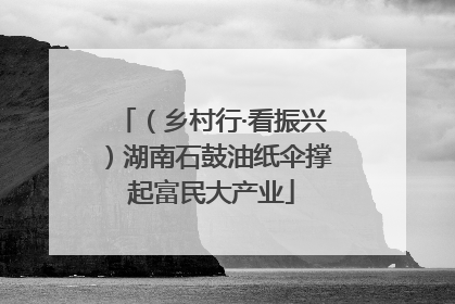 （乡村行·看振兴）湖南石鼓油纸伞撑起富民大产业