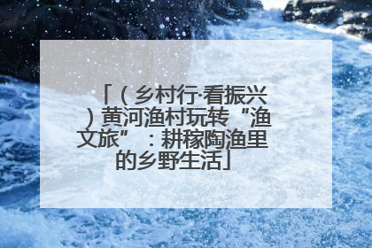 （乡村行·看振兴）黄河渔村玩转“渔文旅”：耕稼陶渔里的乡野生活