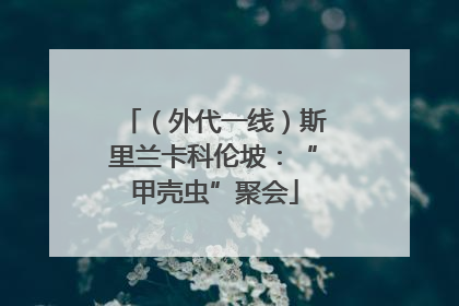 （外代一线）斯里兰卡科伦坡：“甲壳虫”聚会