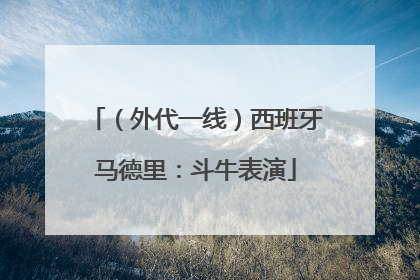 （外代一线）西班牙马德里：斗牛表演