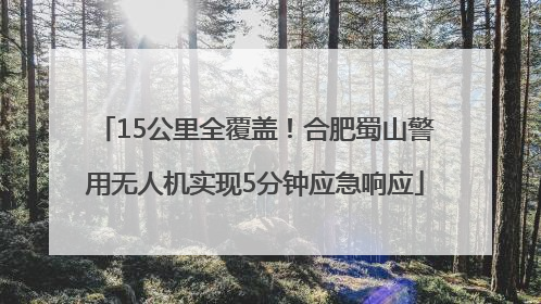 15公里全覆盖！合肥蜀山警用无人机实现5分钟应急响应