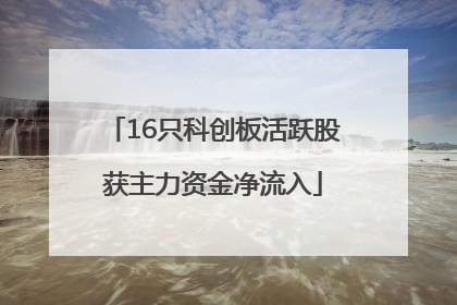 16只科创板活跃股获主力资金净流入