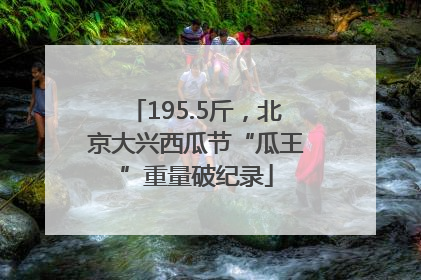 195.5斤，北京大兴西瓜节“瓜王”重量破纪录