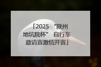 2025 “陕州地坑院杯” 自行车邀请赛激情开赛