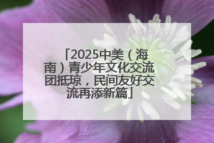 2025中美（海南）青少年文化交流团抵琼，民间友好交流再添新篇