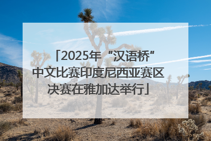 2025年“汉语桥”中文比赛印度尼西亚赛区决赛在雅加达举行